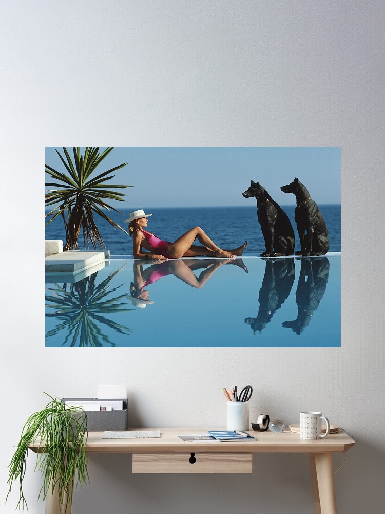 Luxury Lifestyle Homes - Retro Poolside Host Luxury Lifestyle de