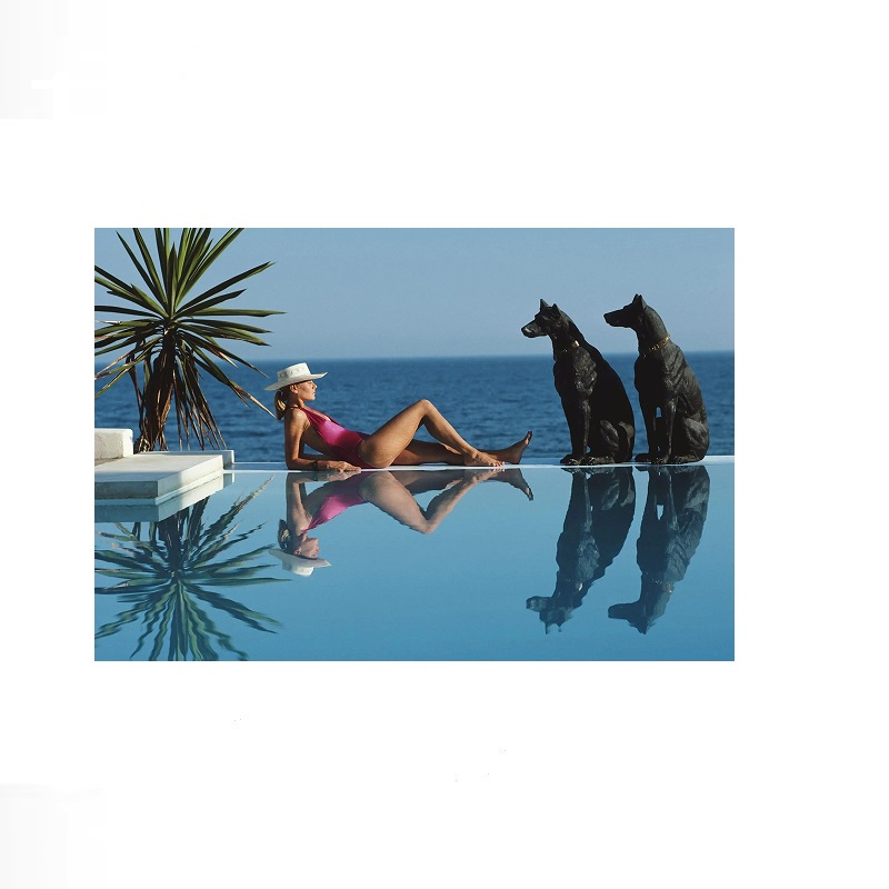 Retro Poolside Host Luxury Lif - Luxury Lifestyle Homes reseña y precio